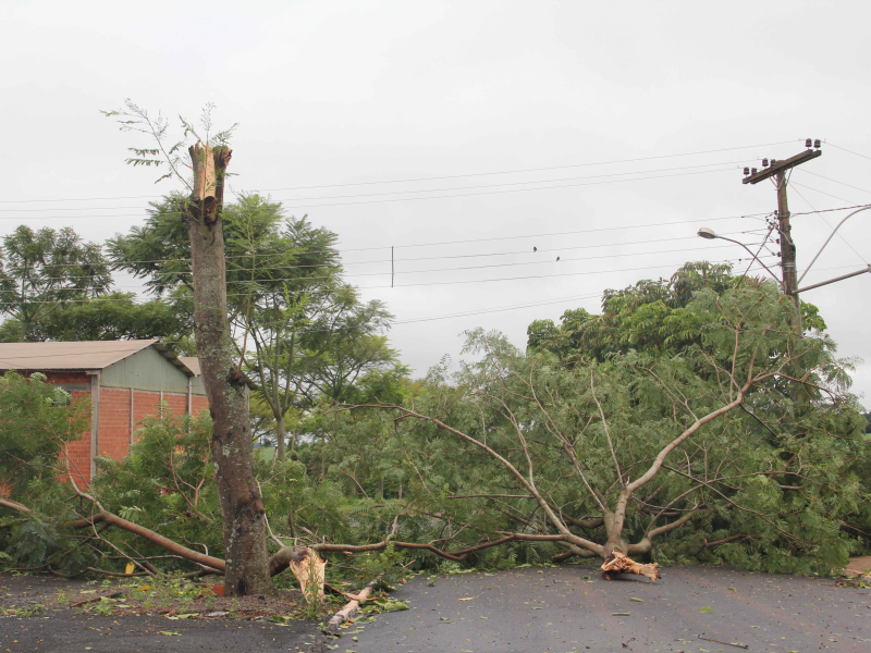 CHUVAS CAUSAM ESTRAGOS EM TRÊS DE MAIO